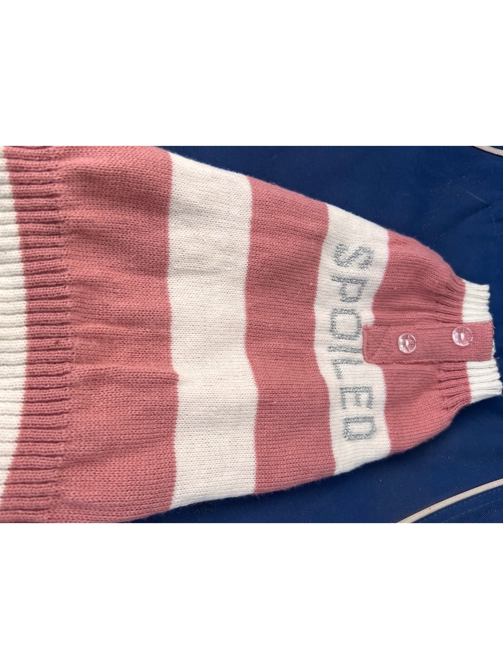 Vibrant Life Dog Striped Pullover Sweater with 'Spoiled' Text
